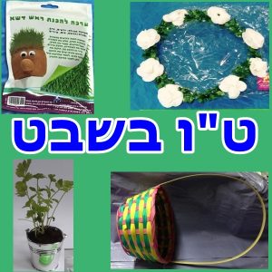 אביזרים לט"ו בשבט