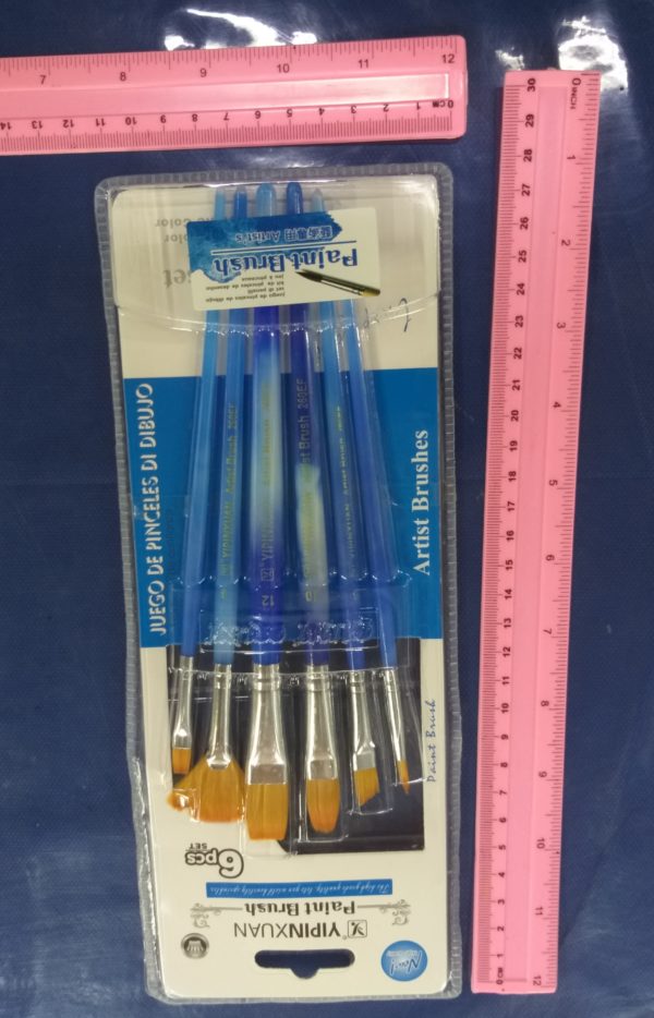 סט מכחולים מקצועי בבליסטר
